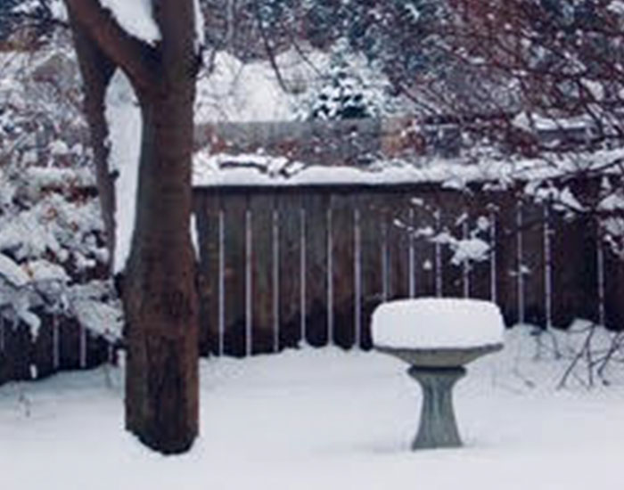 Capricorn and Solstice