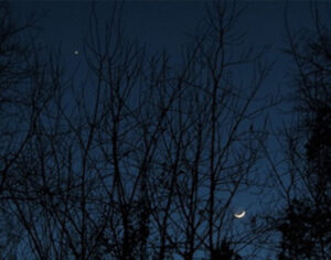 Virgo New Moon 3