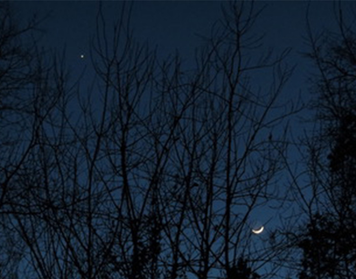 Virgo New Moon 3