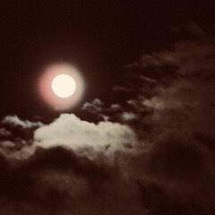 IMG_2276 copy – Version 4