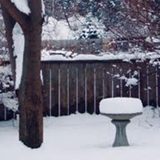 Capricorn and Solstice